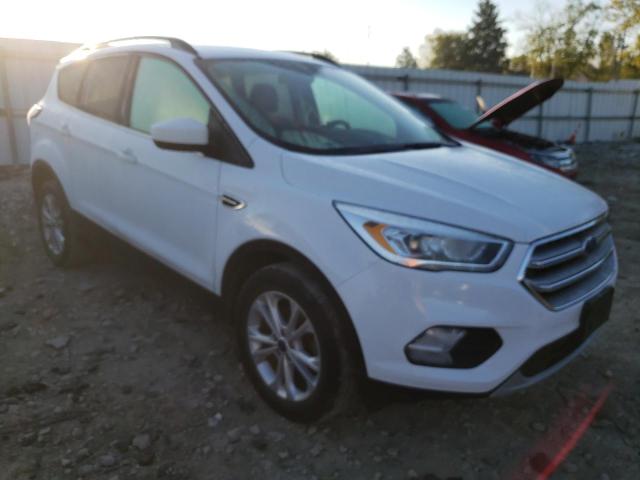 FORD ESCAPE SE 2017 with VIN 1FMCU0GD7HUE03435 - Photo from auction