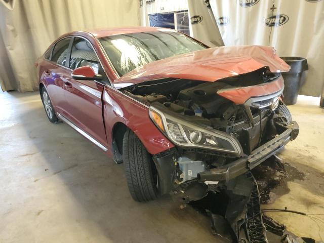 HYUNDAI SONATA SPO 2016 with VIN 5NPE34AF3GH318862 - Photo from auction