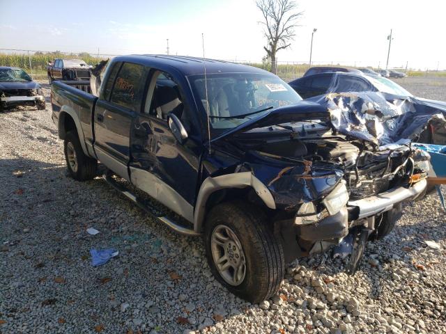 DODGE DAKOTA QUA 2003 with VIN 1D7HG48N43S308695 - Photo from auction