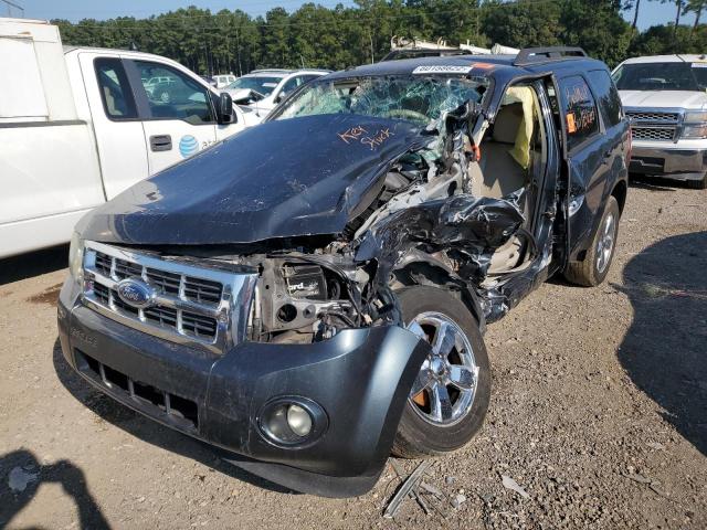 Photo 2 from auction – 2009 FORD ESCAPE XLT with VIN 1FMCU03G69KA35987