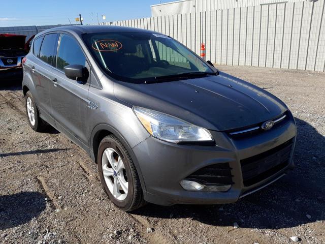 FORD ESCAPE SE 2014 with VIN 1FMCU0GX5EUC67232 - Photo from auction