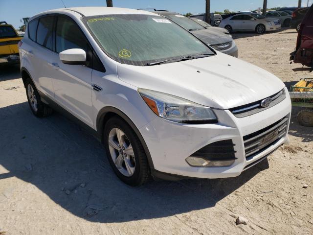 Фото 1 с аукциона – 2014 FORD ESCAPE SE с VIN 1FMCU9GX4EUD59050