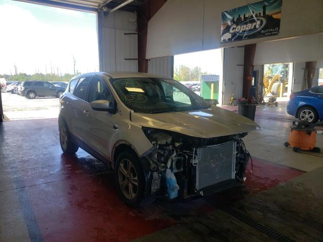 FORD ESCAPE SE 2015 مع رقم تعريف المركبة 1FMCU0G76FUC75907 - صورة من المزاد