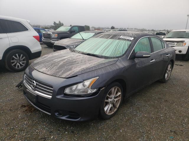 Photo 2 from auction – 2009 NISSAN MAXIMA S with VIN 1N4AA51E09C813266