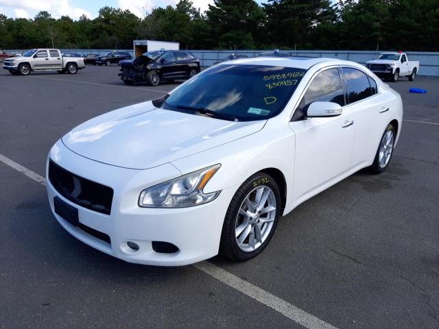 Photo 2 from auction – 2010 NISSAN MAXIMA S with VIN 1N4AA5AP7AC830457