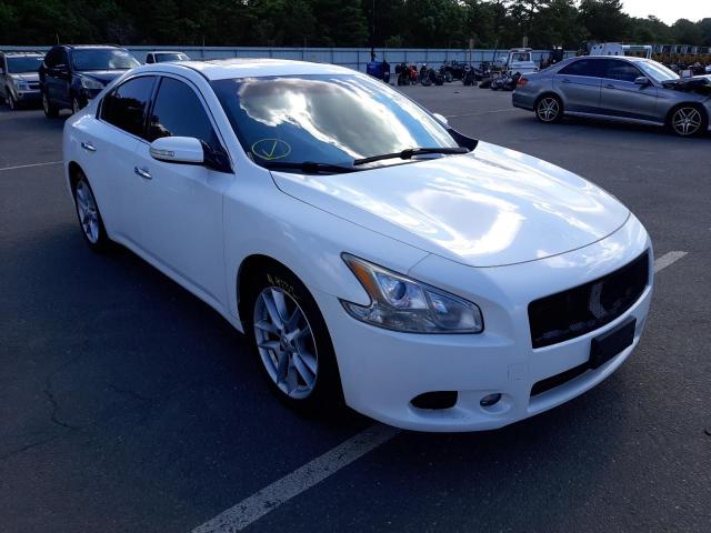 NISSAN MAXIMA S 2010 with VIN 1N4AA5AP7AC830457 - Photo from auction