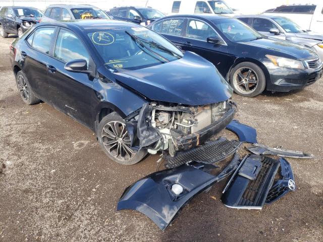 TOYOTA COROLLA L 2016 with VIN 2T1BURHE3GC498244 - Photo from auction