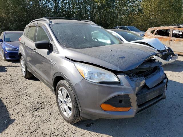 FORD ESCAPE S 2013 with VIN 1FMCU0F79DUB24042 - Photo from auction