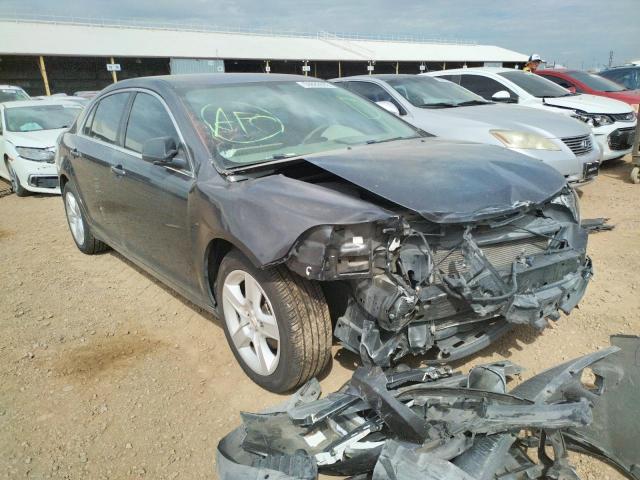 CHEVROLET MALIBU LS 2011 with VIN 1G1ZB5E13BF307493 - Photo from auction