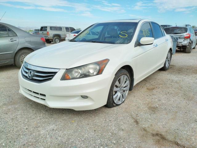Photo 2 from auction – 2011 HONDA ACCORD EXL with VIN 1HGCP3F86BA009565