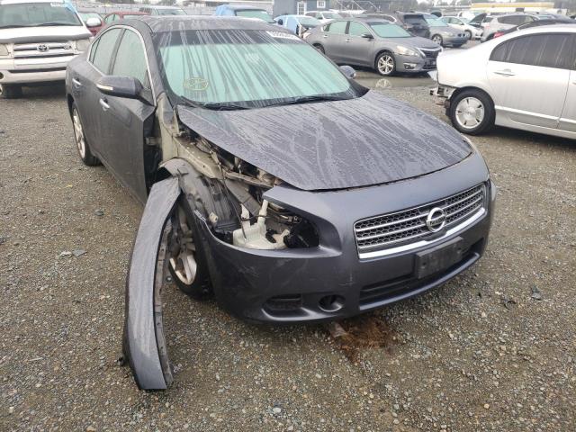 Photo 9 from auction – 2009 NISSAN MAXIMA S with VIN 1N4AA51E09C813266