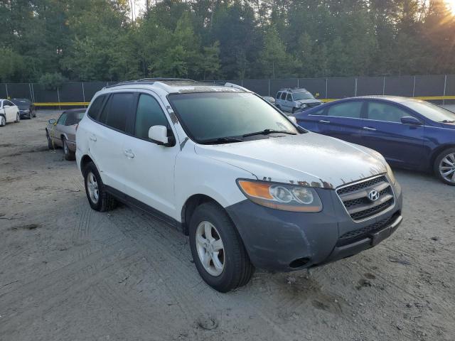 HYUNDAI SANTA FE G 2007 with VIN 5NMSG13D27H001900 - Photo from auction