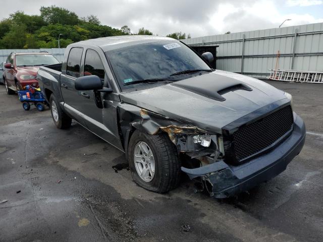 DODGE DAKOTA QUA 2006 with VIN 1D7HE48N96S629884 - Photo from auction