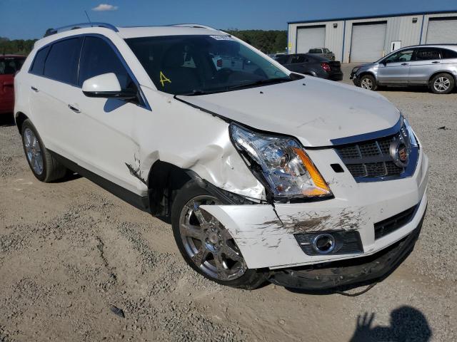 CADILLAC SRX PERFOR 2012 with VIN 3GYFNBE36CS517904 - Photo from auction