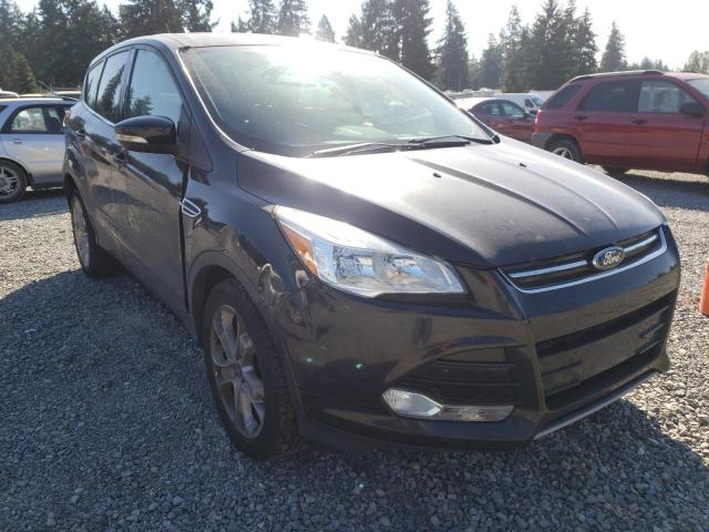 FORD ESCAPE SEL 2013 with VIN 1FMCU0HX8DUA54997 - Photo from auction