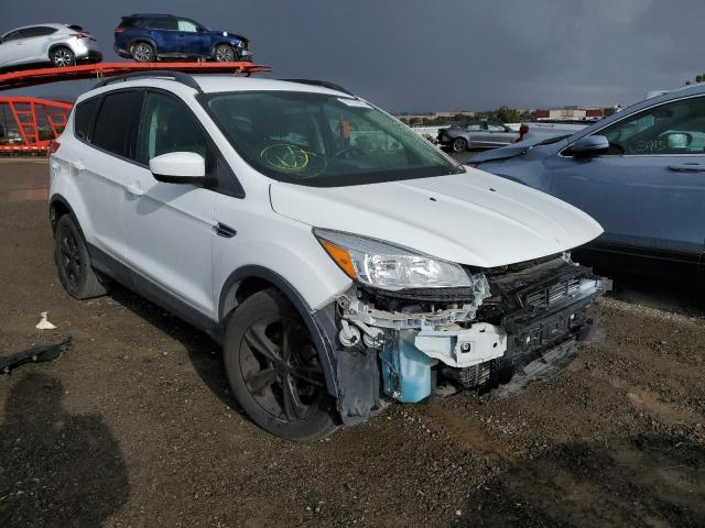 FORD ESCAPE SE 2014 with VIN 1FMCU0GX6EUC68941 - Photo from auction