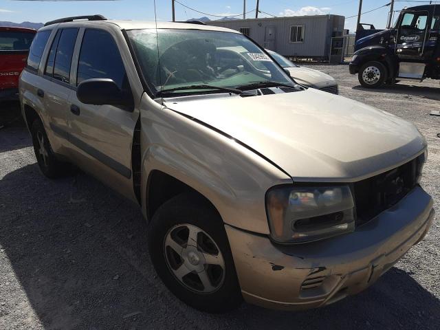 CHEVROLET TRAILBLAZE 2005 with VIN 1GNDT13S652182656 - Photo from auction
