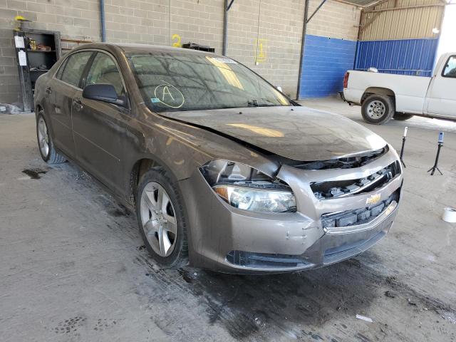 CHEVROLET MALIBU LS 2010 with VIN 1G1ZB5EB9AF316433 - Photo from auction