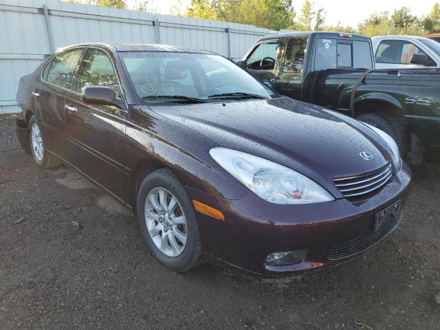 LEXUS ES 300 2002 with VIN JTHBF30G420044431 - Photo from auction