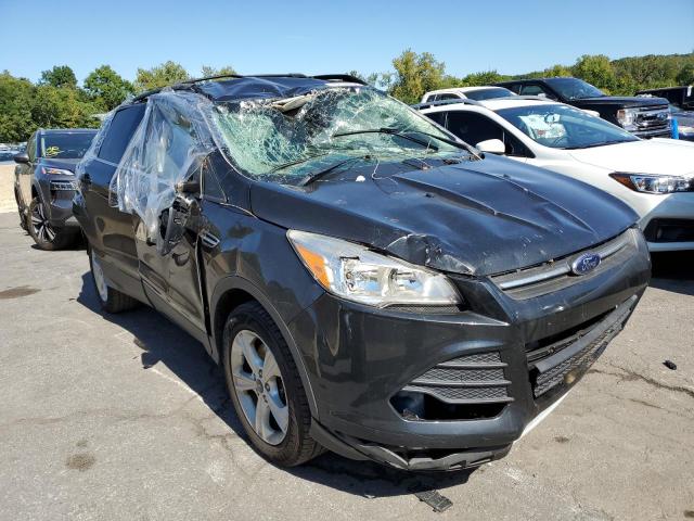 FORD ESCAPE SE 2014 with VIN 1FMCU9GX3EUB53413 - Photo from auction
