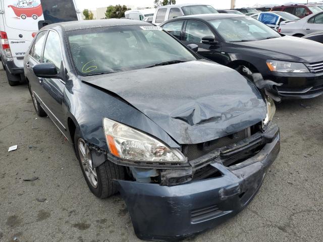 HONDA ACCORD SE 2007 with VIN JHMCM56317C020717 - Photo from auction