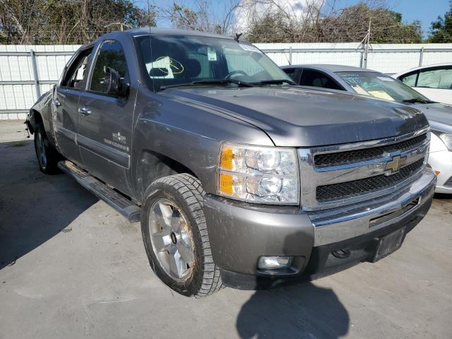 CHEVROLET SILVERADO 2009 with VIN 3GCEC23J39G196876 - Photo from auction