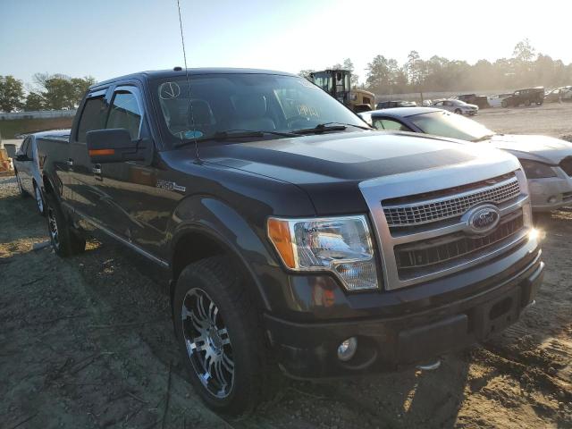 FORD F150 SUPER 2010 with VIN 1FTFW1EV4AFC24065 - Photo from auction