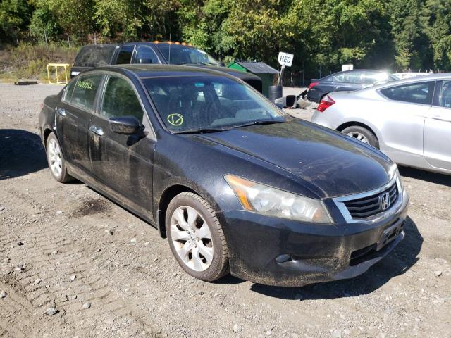 HONDA ACCORD 2008 with VIN 1HGCP36828A067164 - Photo from auction