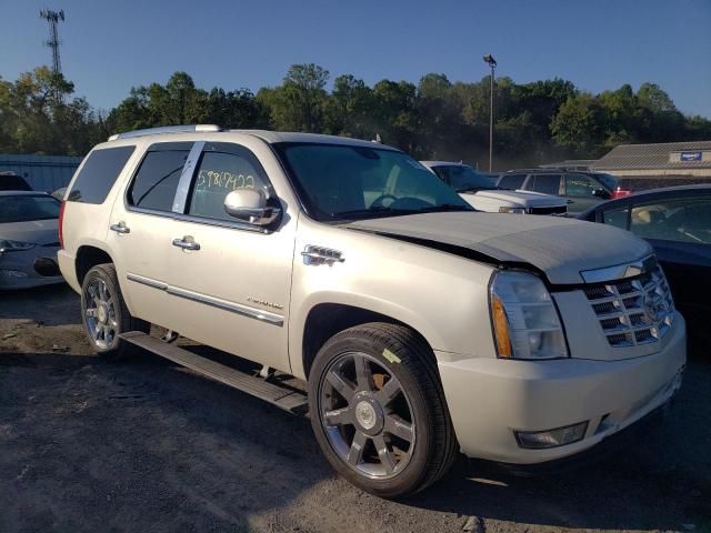 CADILLAC ESCALADE P 2011 with VIN 1GYS4CEF6BR130403 - Photo from auction