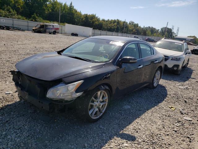 Photo 2 from auction – 2010 NISSAN MAXIMA S with VIN 1N4AA5AP1AC842572