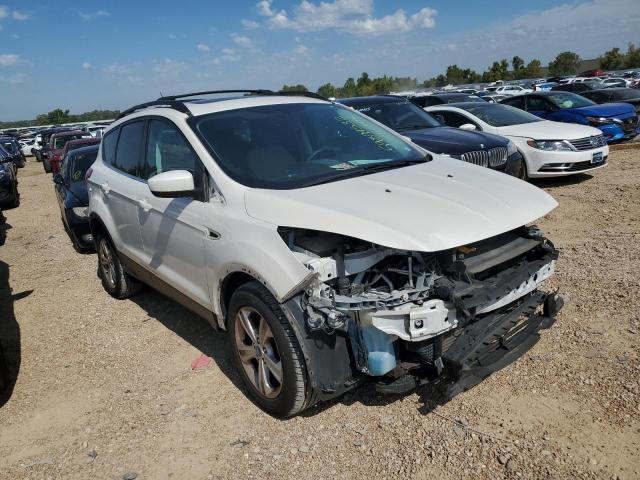 FORD ESCAPE SE 2013 with VIN 1FMCU0GX9DUB95739 - Photo from auction