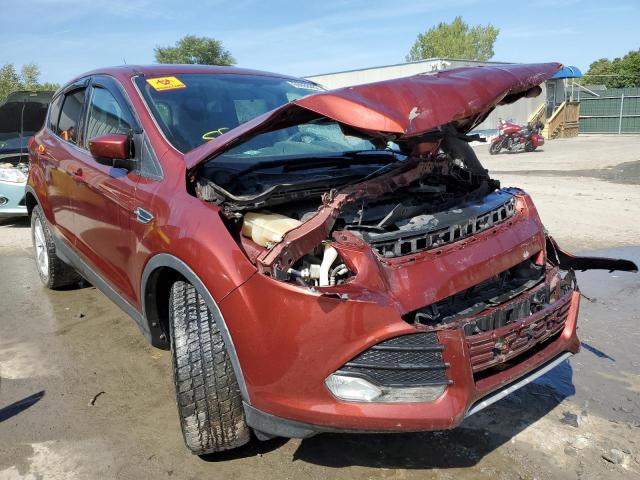 FORD ESCAPE SE 2014 مع رقم تعريف المركبة 1FMCU9G97EUC41351 - صورة من المزاد