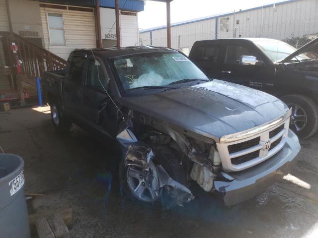 DODGE DAKOTA SXT 2010 with VIN 1D7CW3GK4AS164447 - Photo from auction