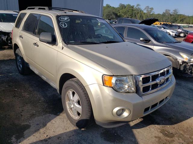 FORD ESCAPE XLT 2011 with VIN 1FMCU0DG8BKB77584 - Photo from auction