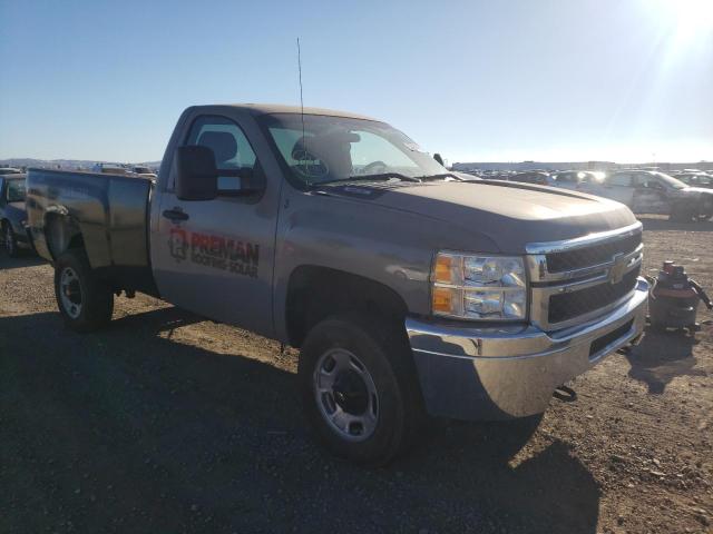 CHEVROLET SILVERADO 2014 with VIN 1GC0CVCG5EF177211 - Photo from auction