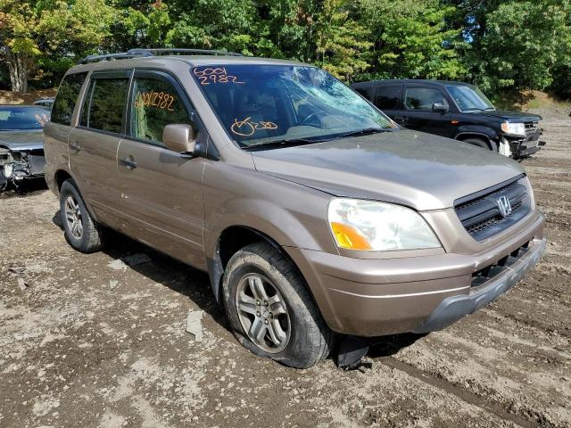 HONDA PILOT 2004 with VIN 2HKYF18564H569743 - Photo from auction