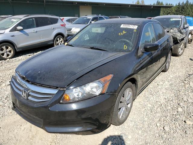 Photo 2 from auction – 2011 HONDA ACCORD EX with VIN 1HGCP2F7XBA149717