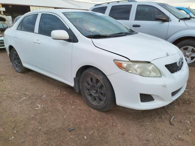 TOYOTA COROLLA BA 2009 with VIN JTDBL40E09J031341 - Photo from auction