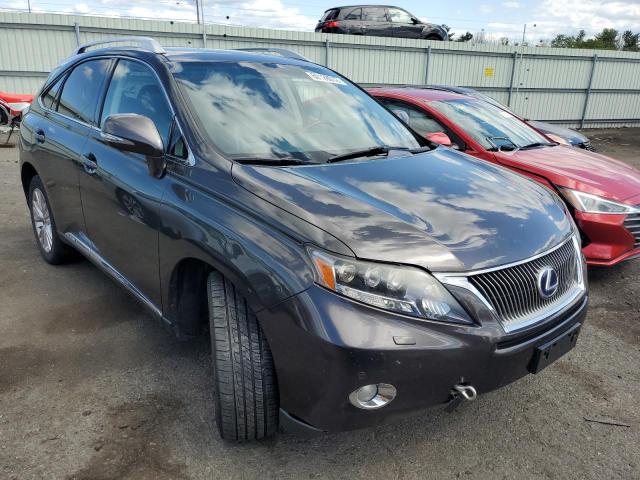 LEXUS RX 450 2010 with VIN JTJBC1BAXA2009688 - Photo from auction
