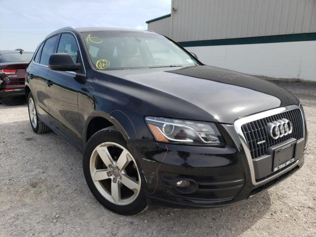 AUDI Q5 PREMIUM 2012 with VIN WA1LFAFPXCA030556 - Photo from auction