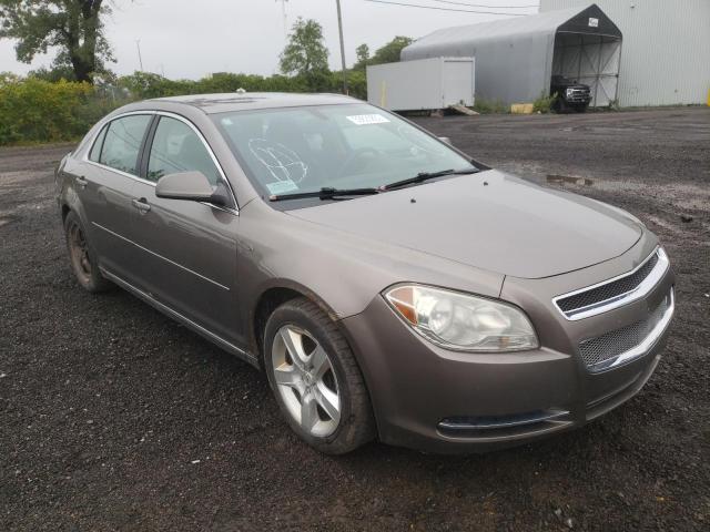CHEVROLET MALIBU 2LT 2011 with VIN 1G1ZD5EU6BF112363 - Photo from auction