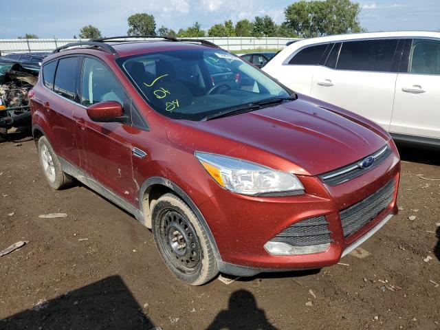 FORD ESCAPE SE 2014 with VIN 1FMCU9G9XEUC78765 - Photo from auction