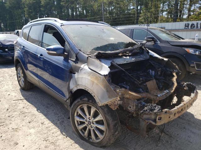 FORD ESCAPE TIT 2017 with VIN 1FMCU9JD0HUB70981 - Photo from auction