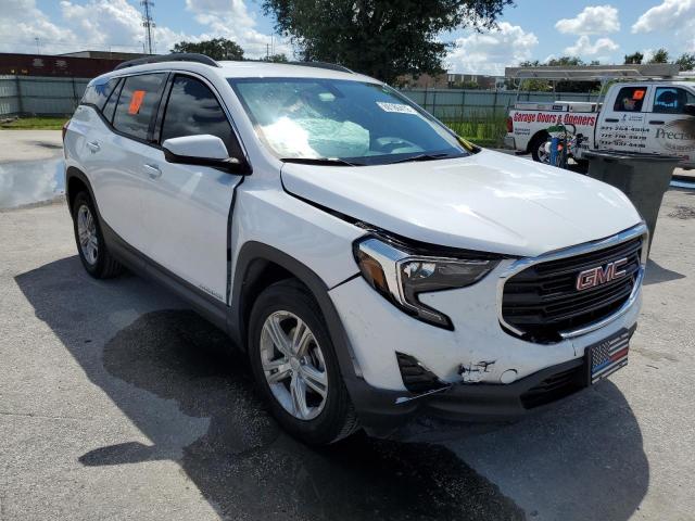 GMC TERRAIN SL 2019 with VIN 3GKALMEV4KL397388 - Photo from auction