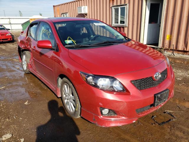 TOYOTA COROLLA BA 2010 with VIN 2T1BU4EE5AC445379 - Photo from auction