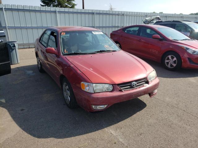 TOYOTA COROLLA CE 2001 with VIN 1NXBR12E31Z488041 - Photo from auction