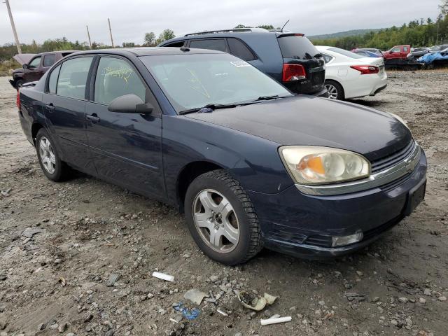 CHEVROLET MALIBU LT 2005 with VIN 1G1ZU54845F245504 - Photo from auction