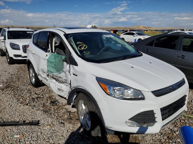 FORD ESCAPE SE 2016 with VIN 1FMCU0G70GUA98420 - Photo from auction
