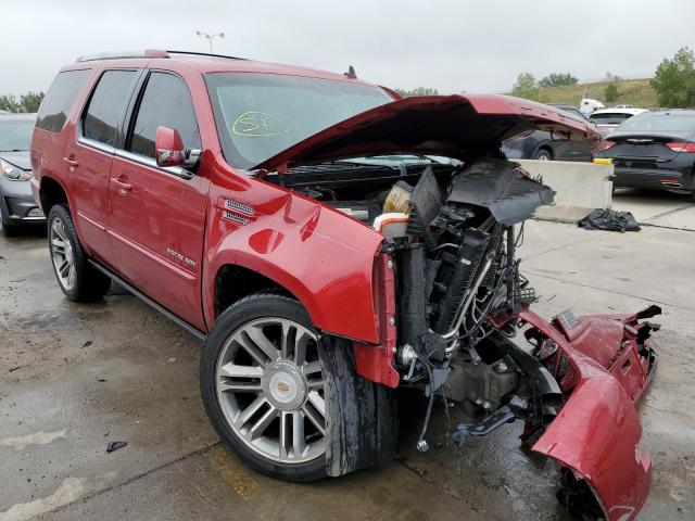 CADILLAC ESCALADE P 2013 with VIN 1GYS4CEF5DR230656 - Photo from auction