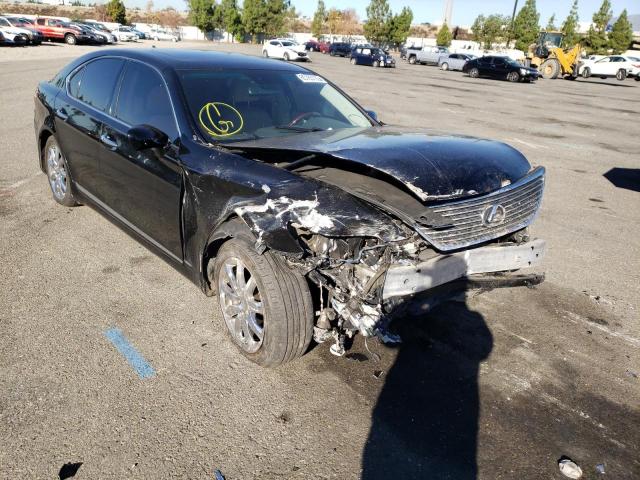 LEXUS LS 460 2009 with VIN JTHBL46F695088571 - Photo from auction